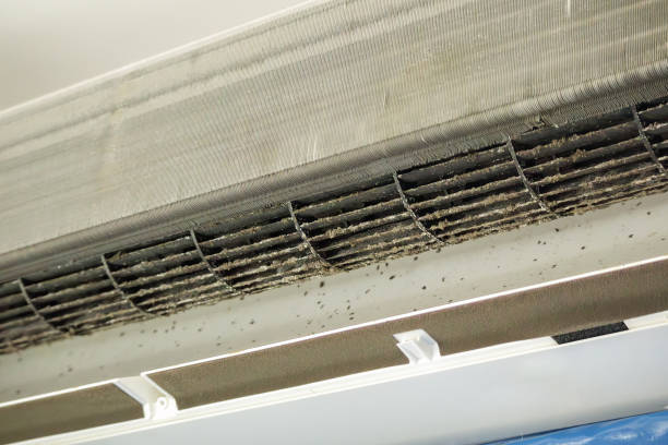 Best Commercial Air Duct Cleaning in Waynesboro, TN